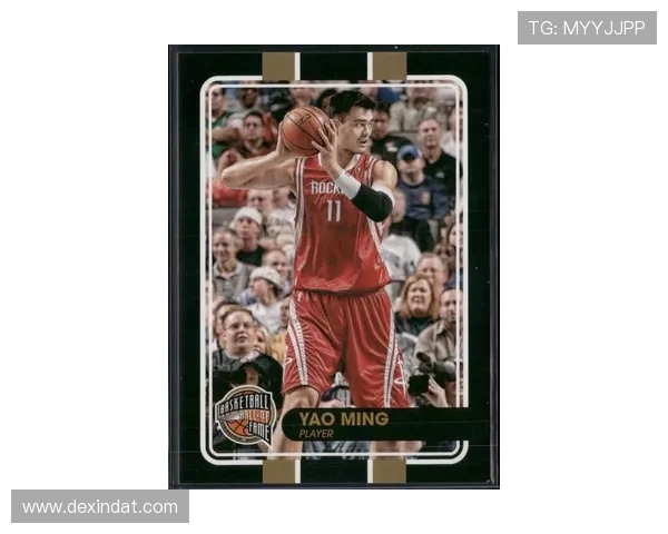 巨星之路姚明：从篮球新星到国际体育偶像的辉煌历程