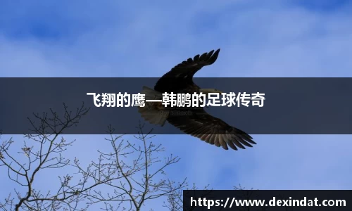 飞翔的鹰—韩鹏的足球传奇